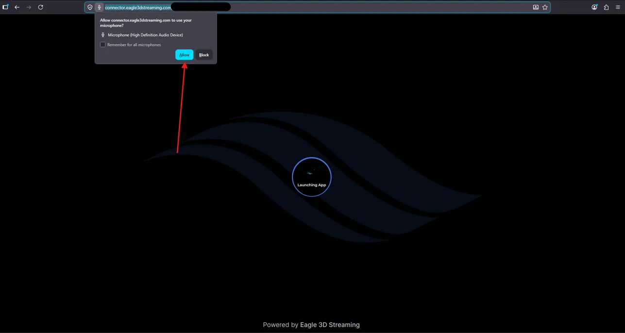 The browser microphone permission prompt
