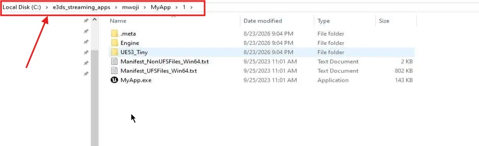 The version directory with .meta, Engine, the project folder, the manifest files and MyApp.exe